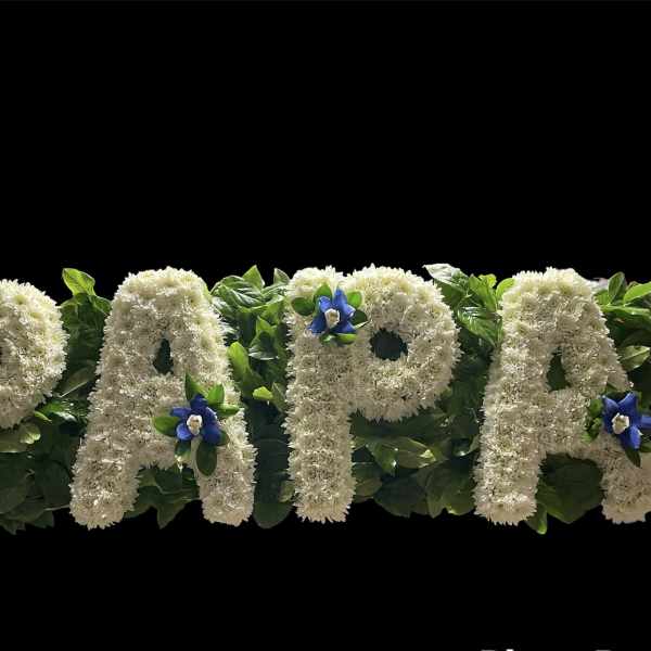 PAPÁ SYMPATHY TRIBUTE