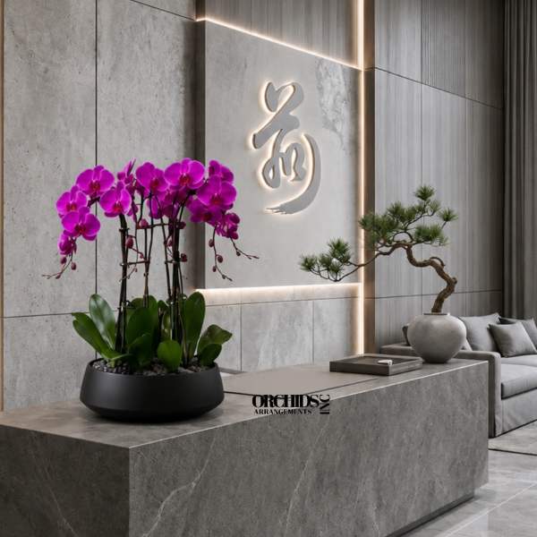 Purple Phalaenopsis Orchids – Same Day Orchid Arrangements