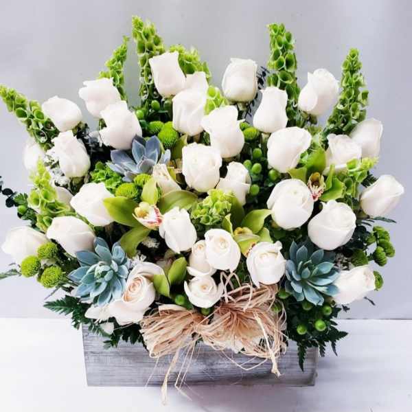 Classic White