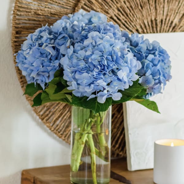 Blue hydrangea bouquet in a clear glass vase beside a lit candle