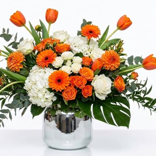 Oranje - Netherlands