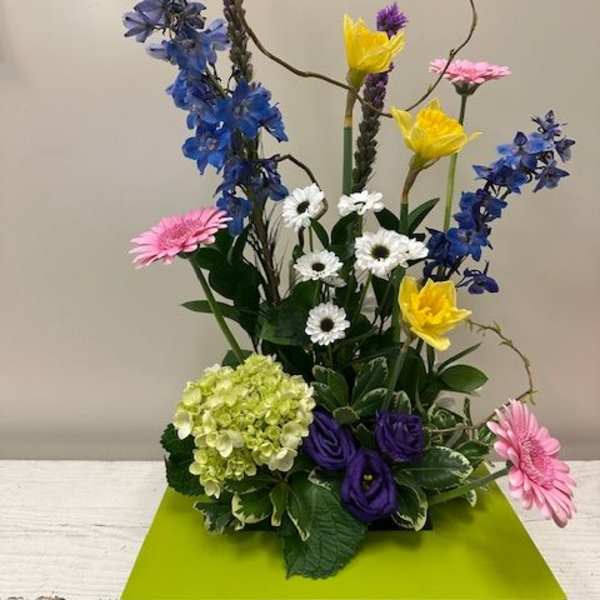 Contemporary Spring