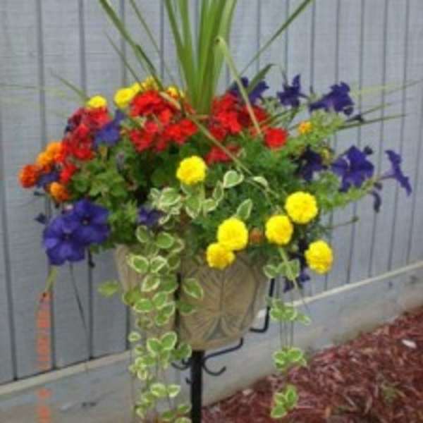 Colorful flower arrangement in a beige planter on a stand