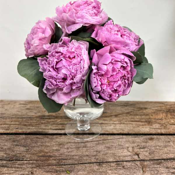 Peonies Please!