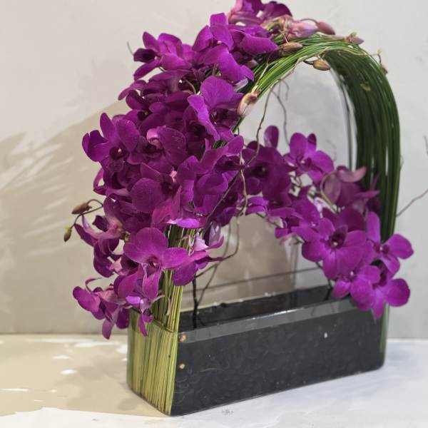 Orchid Emperor 2