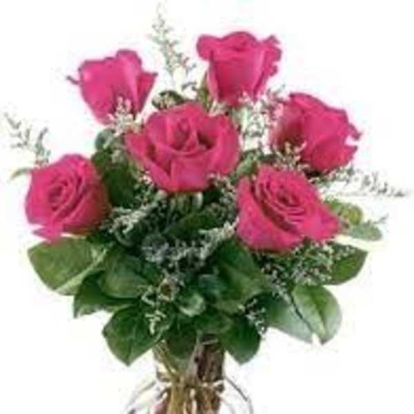 classic 6 hot pink roses