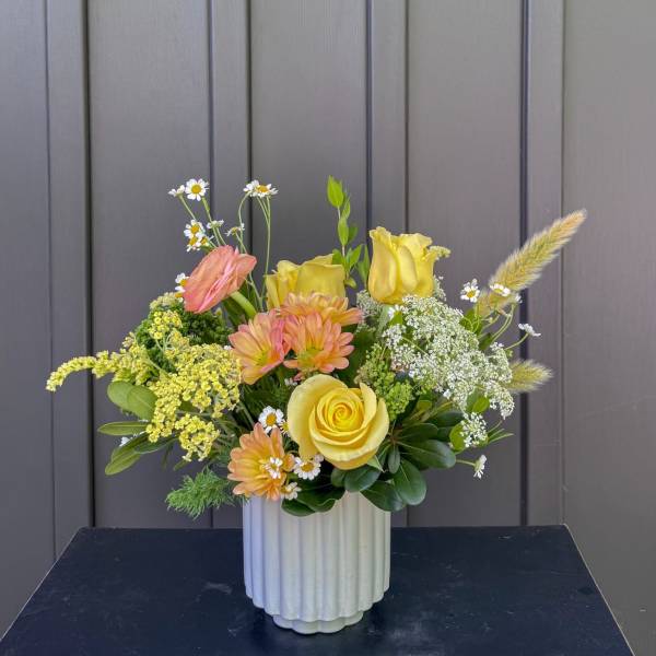 Citrus Splash