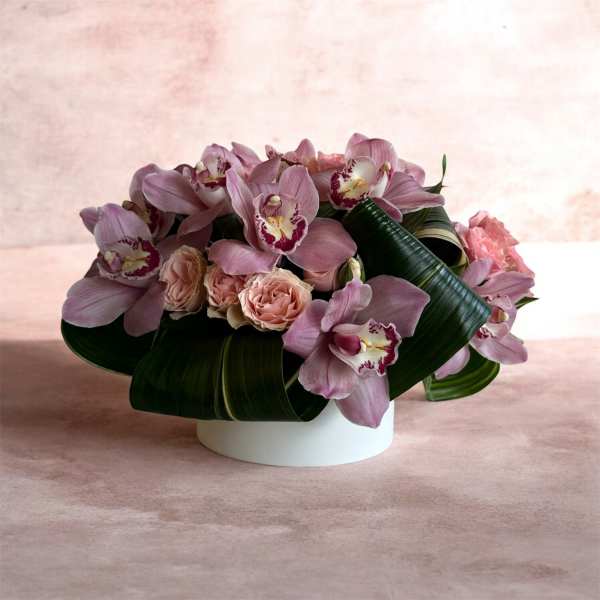 VIOLETA