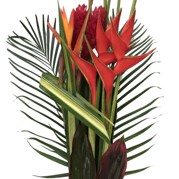 Caribe