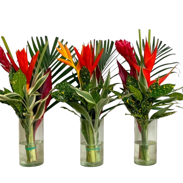 tropical mix
