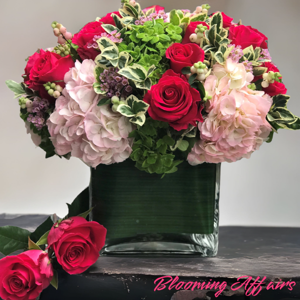 Bloom0901