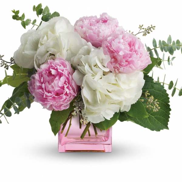 Pink and white peonies arranged in a pink glass vase