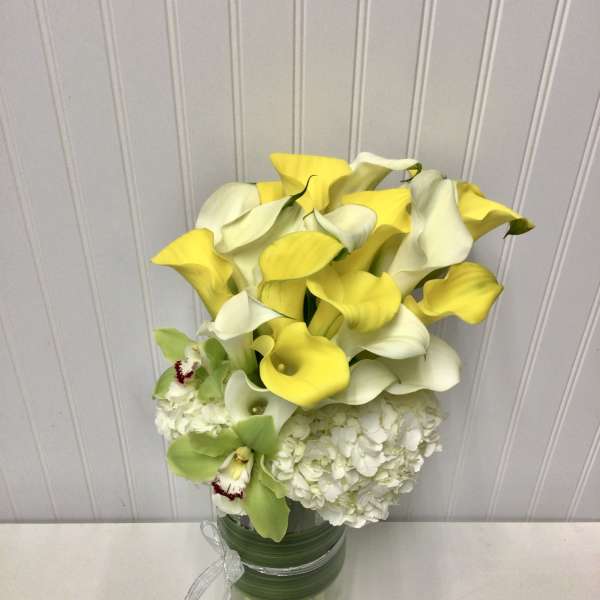 majestic calla lily