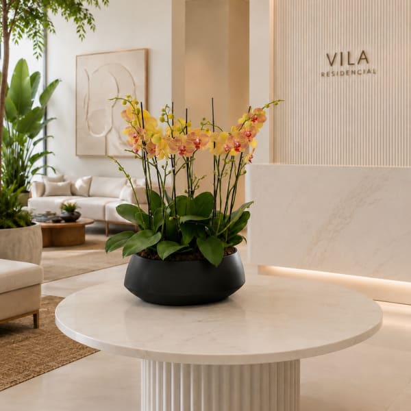 Peach Orchid Arrangements – Same Day Orchid Delivery