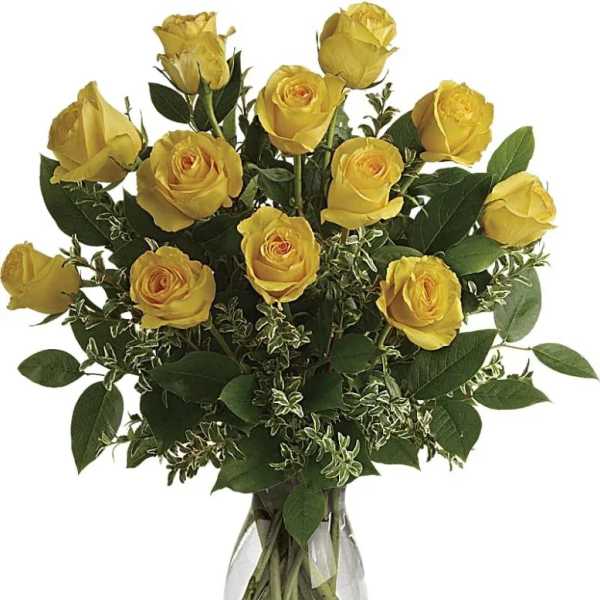 say yellow