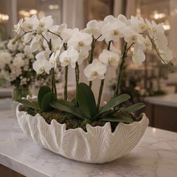 The Orchid Atelier