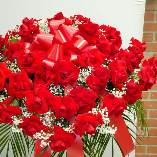 Red roses Casket