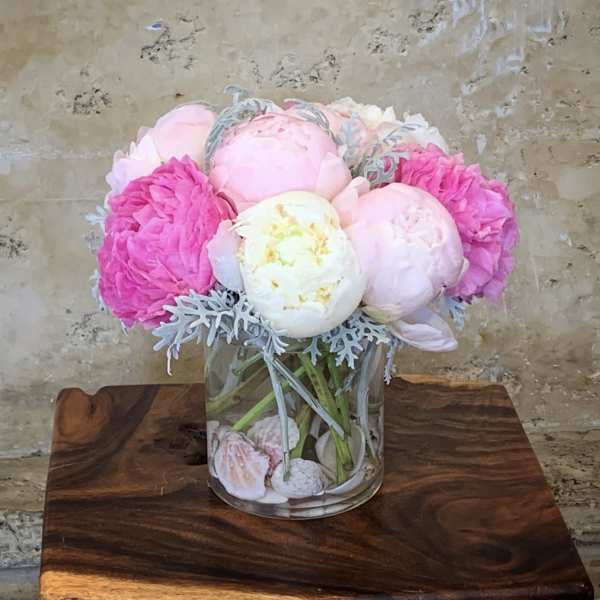 Seashells Peonies
