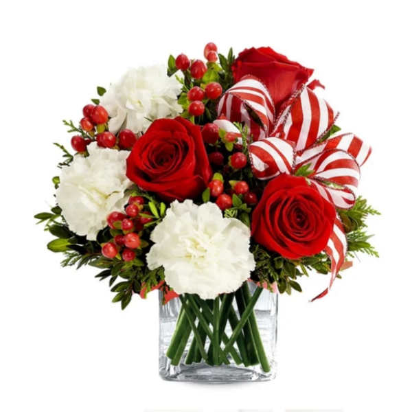 Red &white Holidays