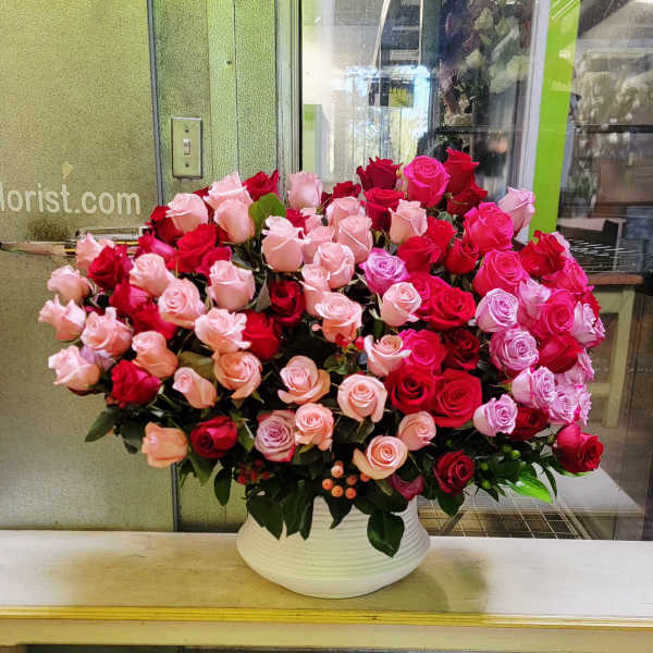 Rose Morning