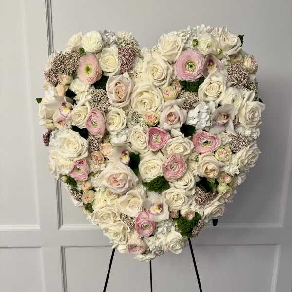 Heart