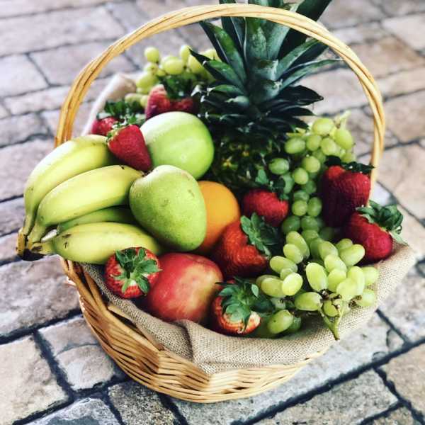 Fruits of Comfort