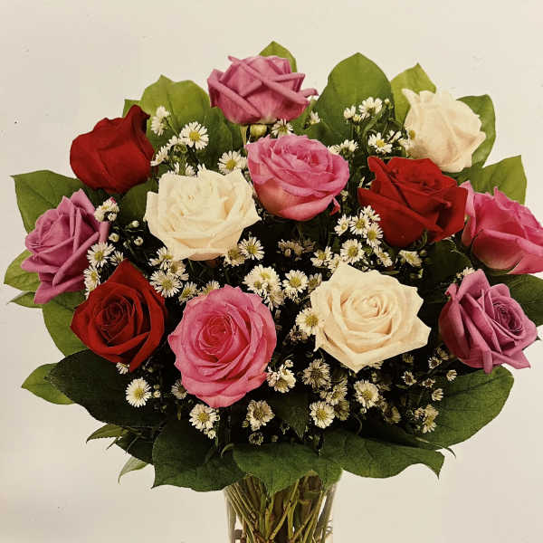 Mixed roses in pink, red, and white arranged in a clear glass vase