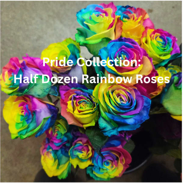 Pride Collection - Half Dozen Rainbow Roses