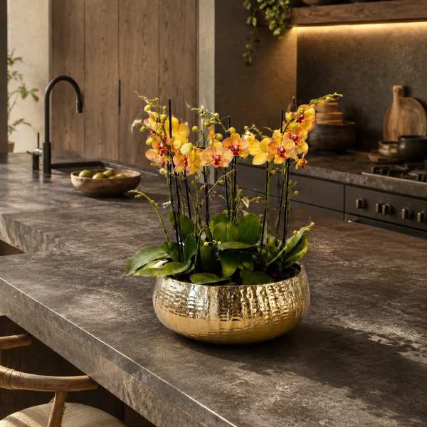 Peach Orchid Arrangement – Orchids Delivery Same Day