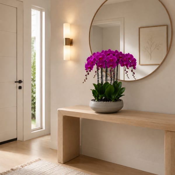 Purple Orchid Arrangement – Same Day Orchid Flowers