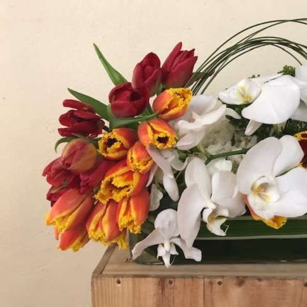 Arrangement of red, orange, and white tulips with white orchids in a green container