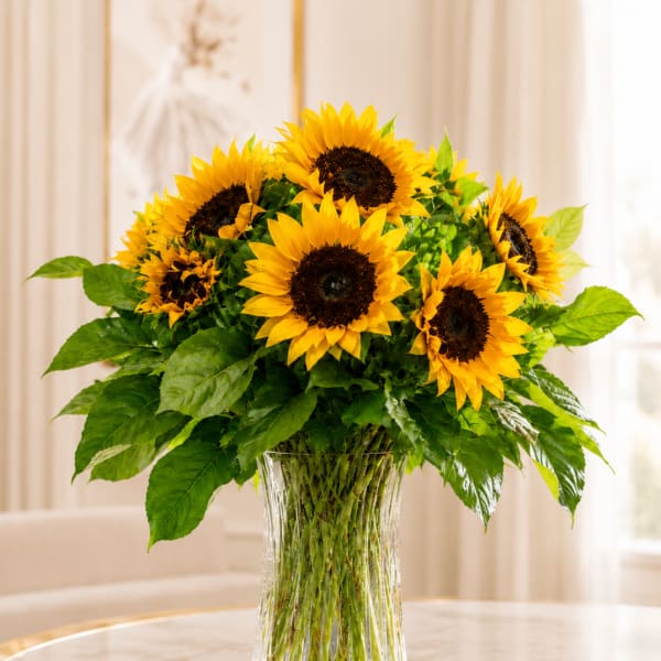 Stunning Sunflowers