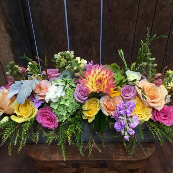 Springtime bonanza