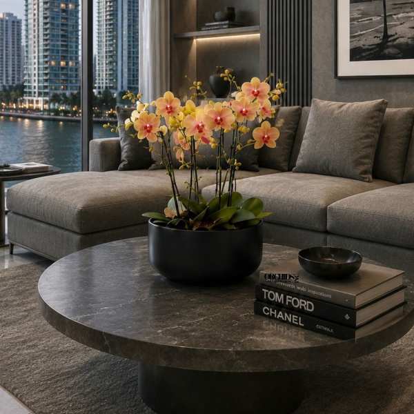 Peach Phalaenopsis Orchid – Same Day Orchid Delivery