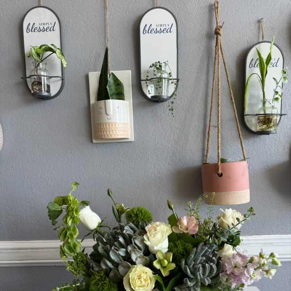 Succulent and rose arrangement in a white wooden box
