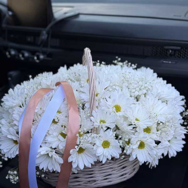 Just Daisies