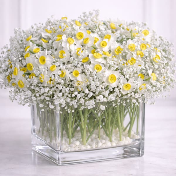 Sweet Spring Cube