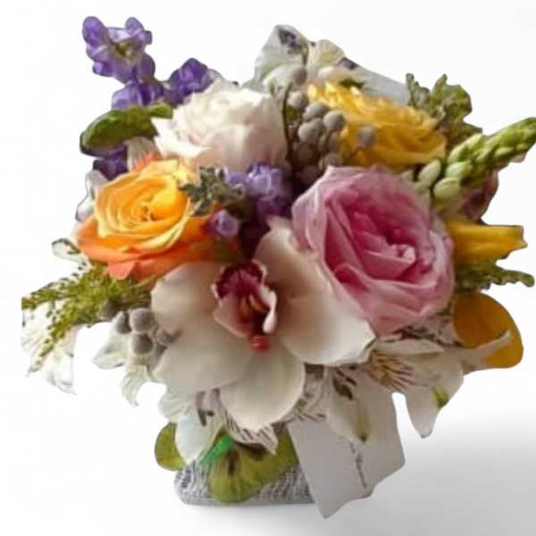 Collingswood Brighten Your Day Flowers