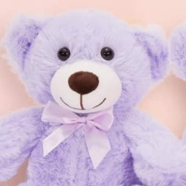Classic Teddy Bears Purple