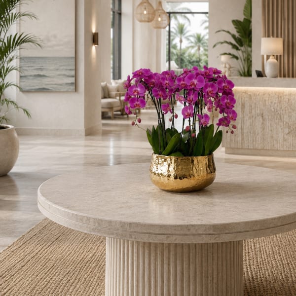 Purple Phalaenopsis Orchids – Same Day Orchid Delivery