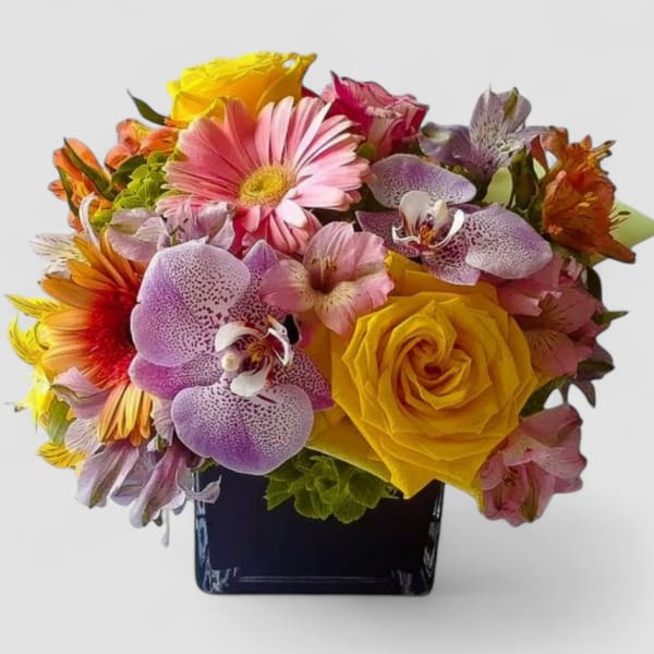 Bright mixed arrangement with yellow roses, pink gerbera daisies, and orchids in a black cube vase