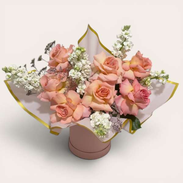 Peach Champagne Dream