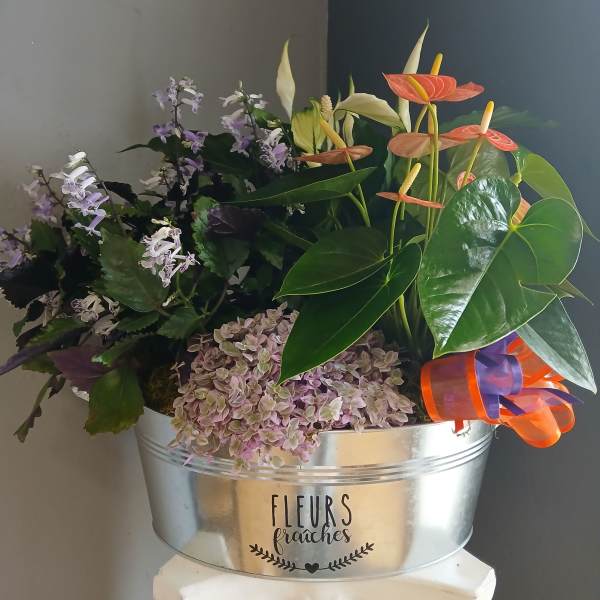 PL2 Mixed flower garden