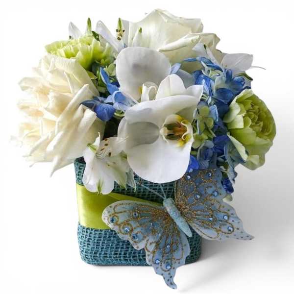Blue Vanilla Cutie Beauty Designer's Choice