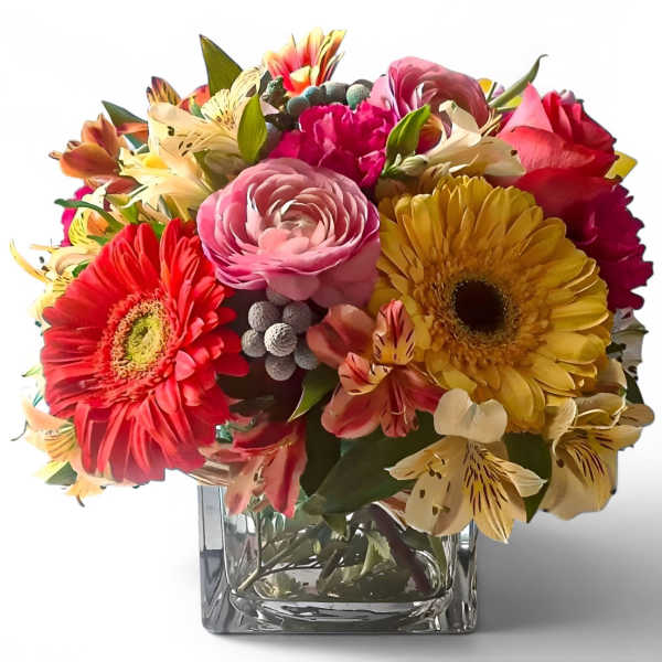Peach Blossoms Beauty Designer's Choice