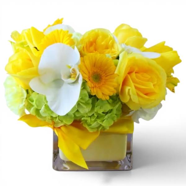 Soft Yellow And Vanilla Blossoms Beautiful Bouquet Designer's Choice