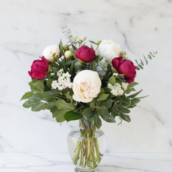 Crimson and Cream Peonies