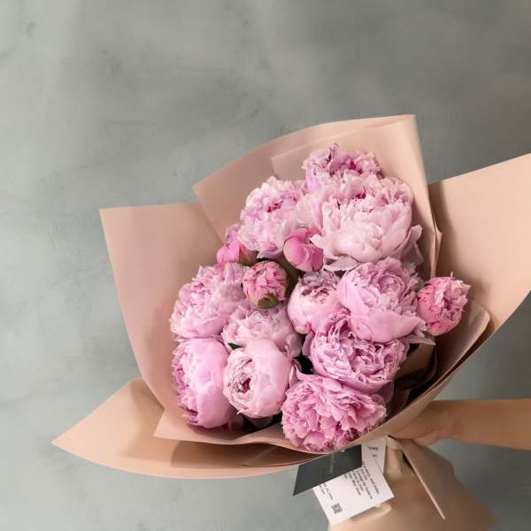 Pink Peony Cloud