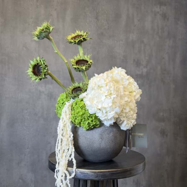 Modern Bloom