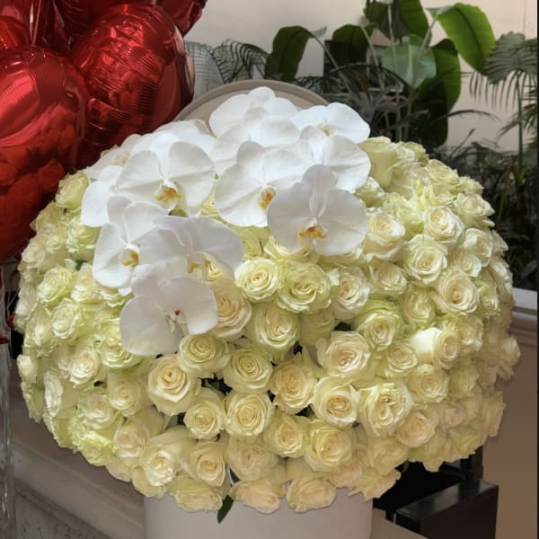 Impressive white